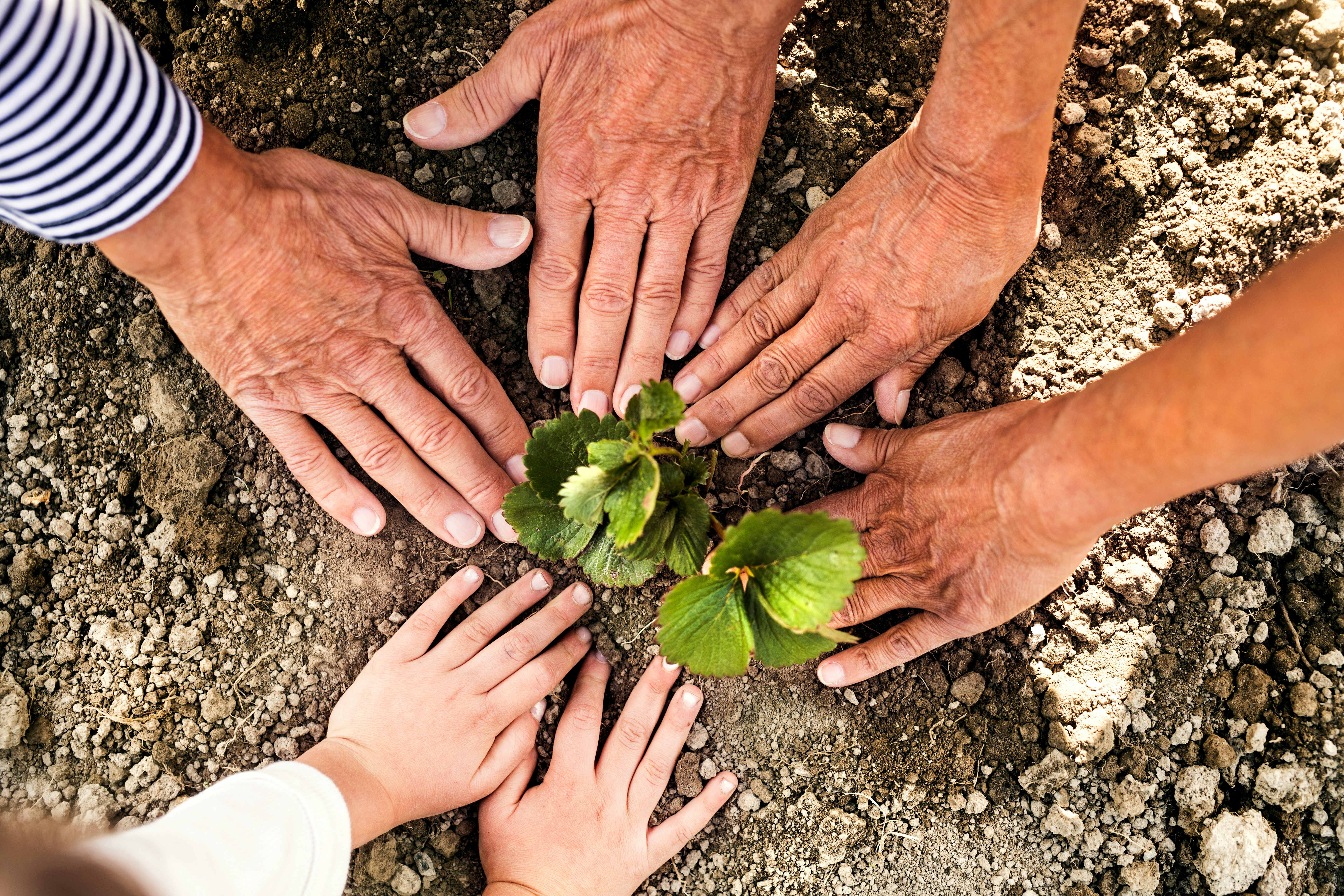 Bezbednost I Zastita na Radu, zastita zivotne sredine